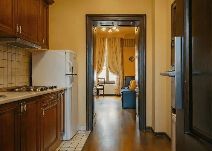 Joy Chic & Balcony Apartment Timişoara